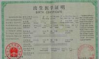 出生医学证明翻译模板（中译英）