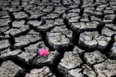 你认为经典的的一句翻译是什么?